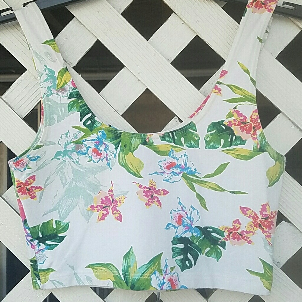 Bundle American Apparel crop top
